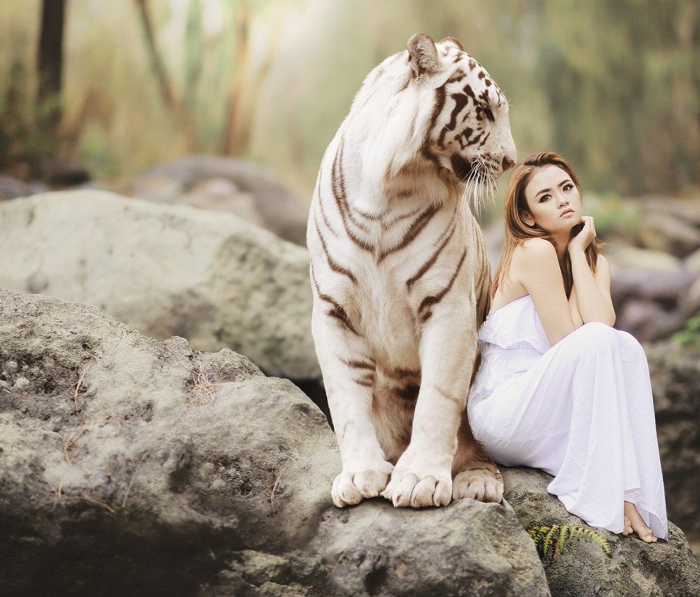 Variables Produkt mit Variation Images